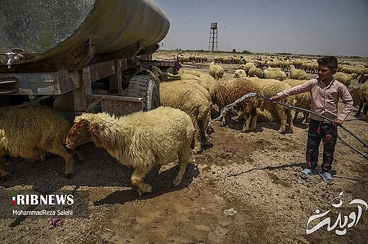آبرسانی تانکرهای ارتش به روستاهای دشت آزادگان اهواز